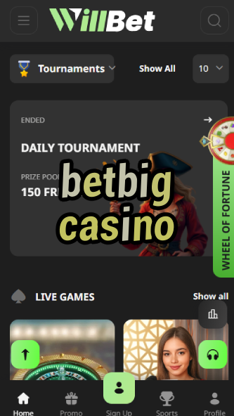 Betbig Casino - Big Win Casino-www.bdqngd.com